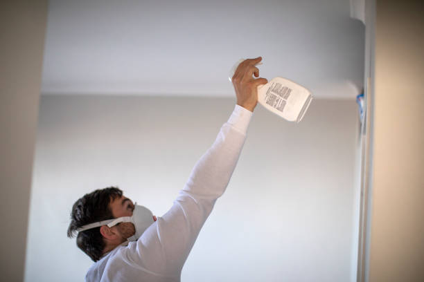 Best Water Damage Restoration  in Altamont, TN