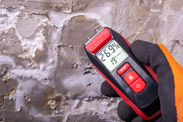Best Office Mold Removal Services  in Altamont, TN