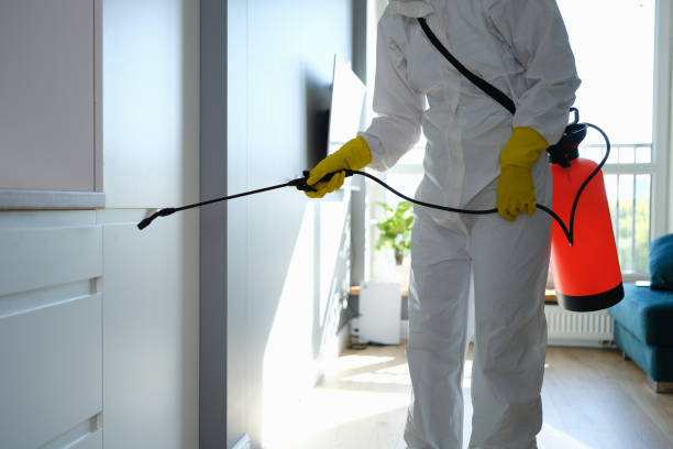 Best Attic Mold Removal  in Altamont, TN