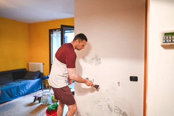 Best Professional Mold Removal  in Altamont, TN